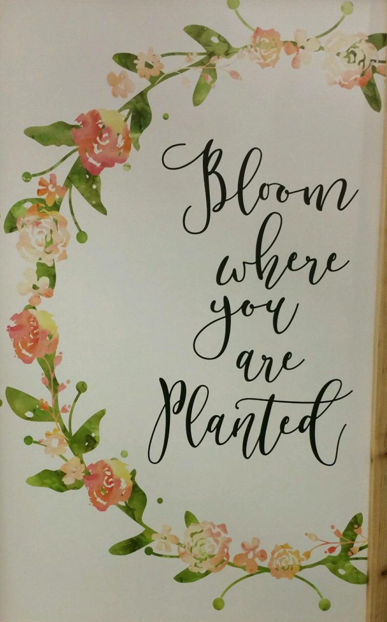 Bloom Where You are Planted