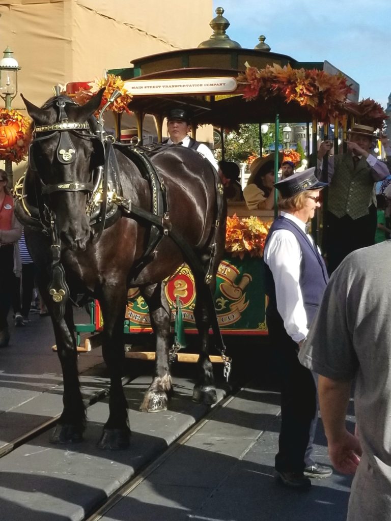 horse-trolley-disney-singer