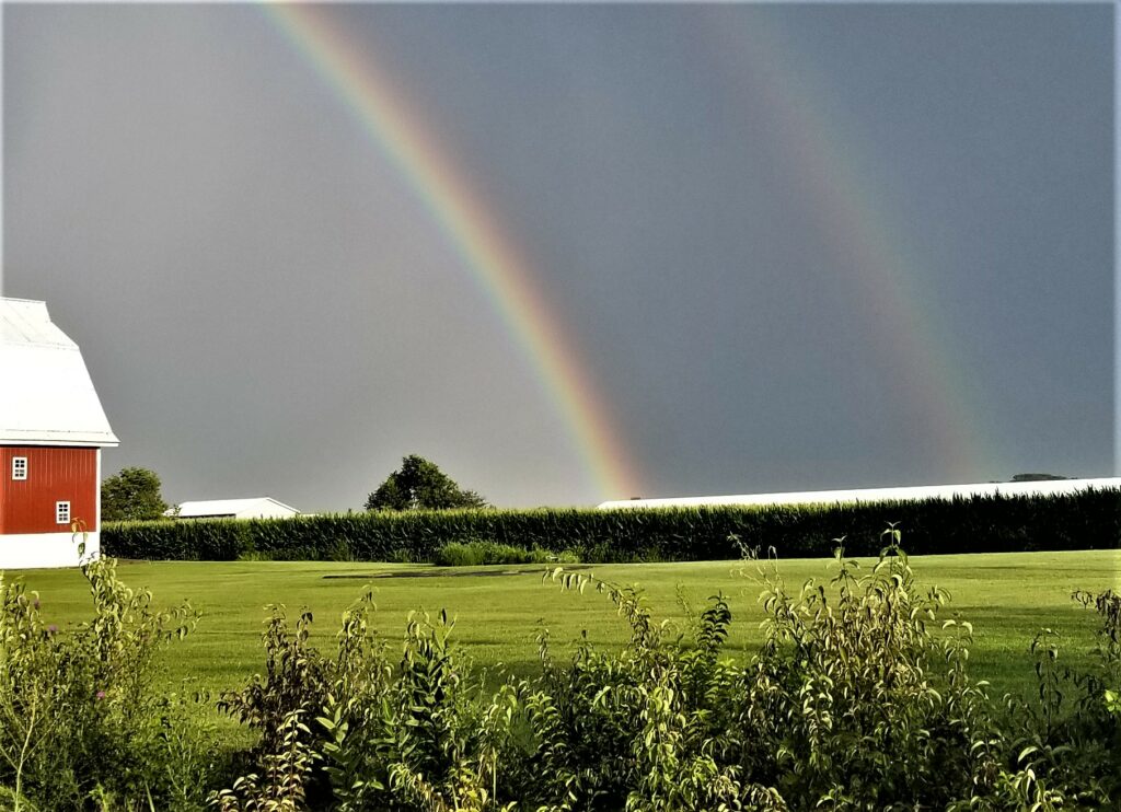 Girl yer uhmazin double rainbow 